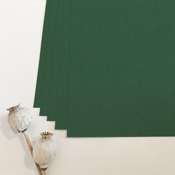 Cardstock "Premium" - Bastelpapier 225g/m² DIN A4 in waldgrün